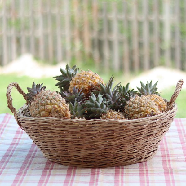 fruits-basket-basketry-woven-art-work-unique-gift-natural-eco-friendly-artisan-basket-home-accessories